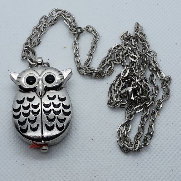 OWL Watch - Picture 6 of 12